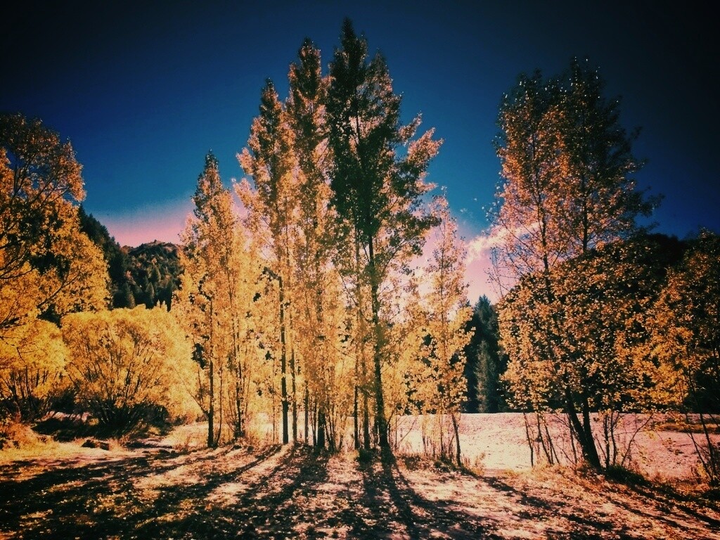 Осень в Новой Зеландии обои