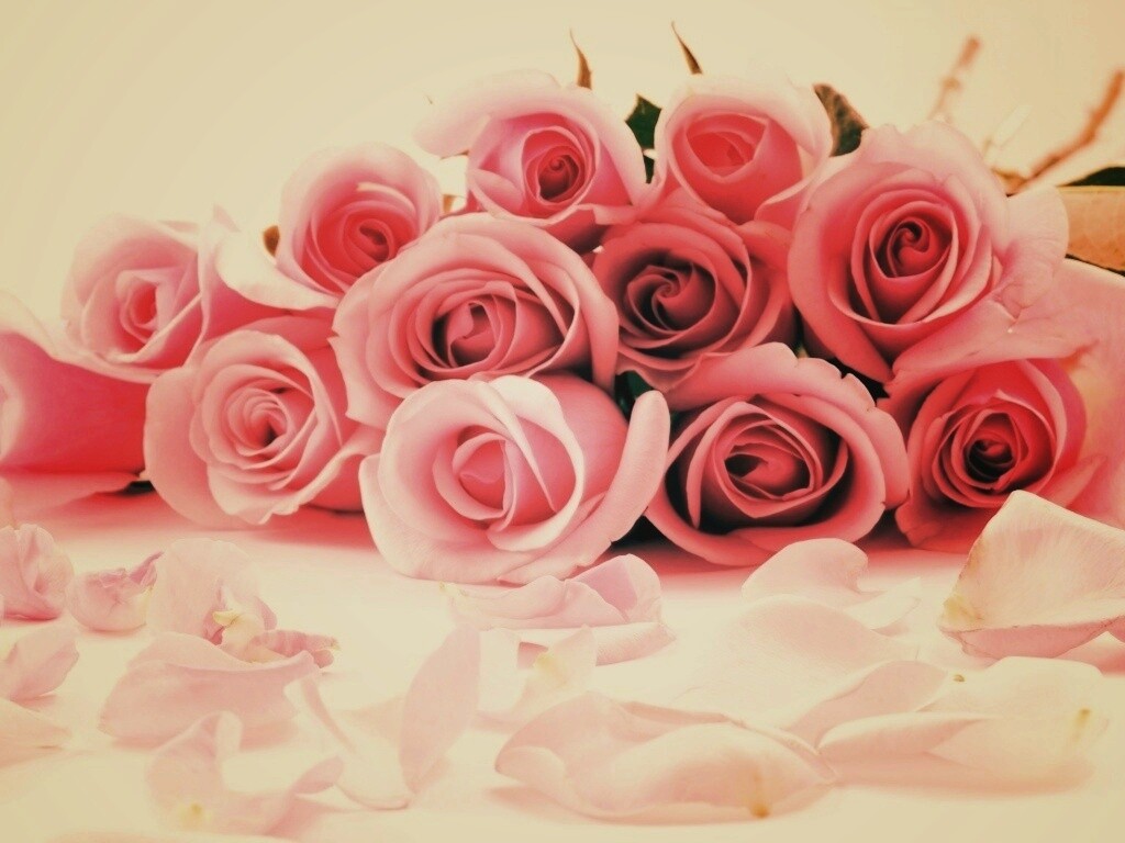 Букет роз обои