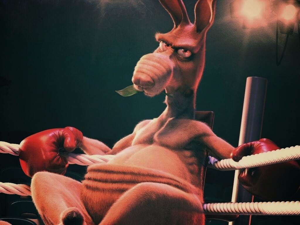 Кенгуру-боксер на ринге обои