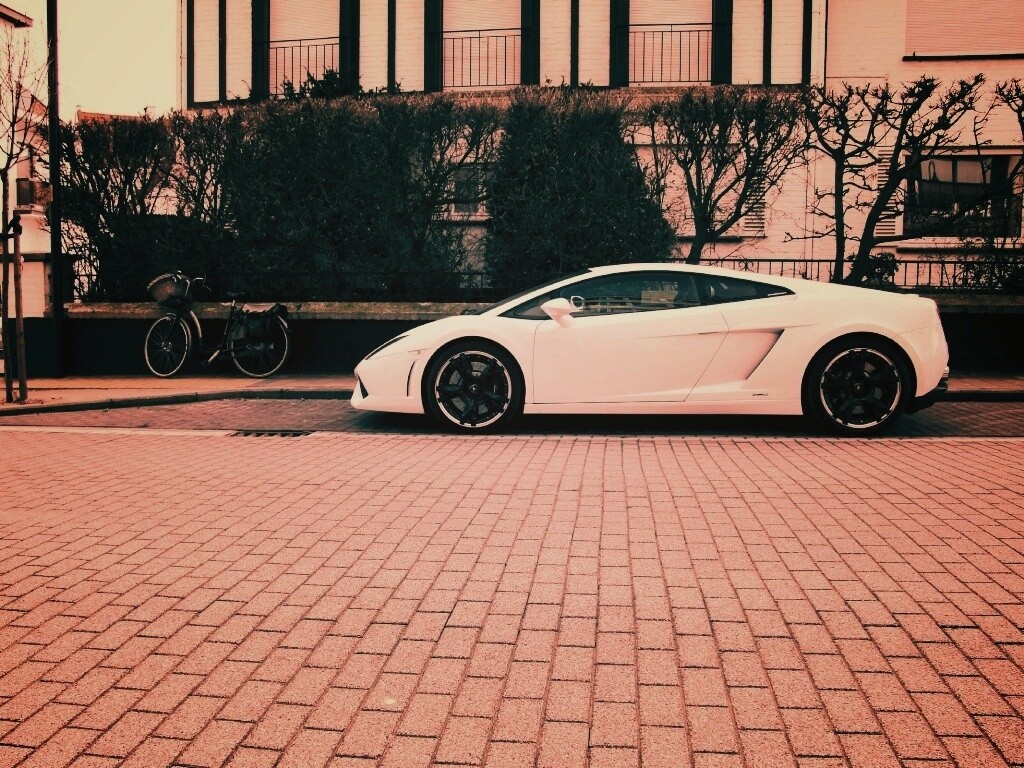 Белый Lamborghini обои