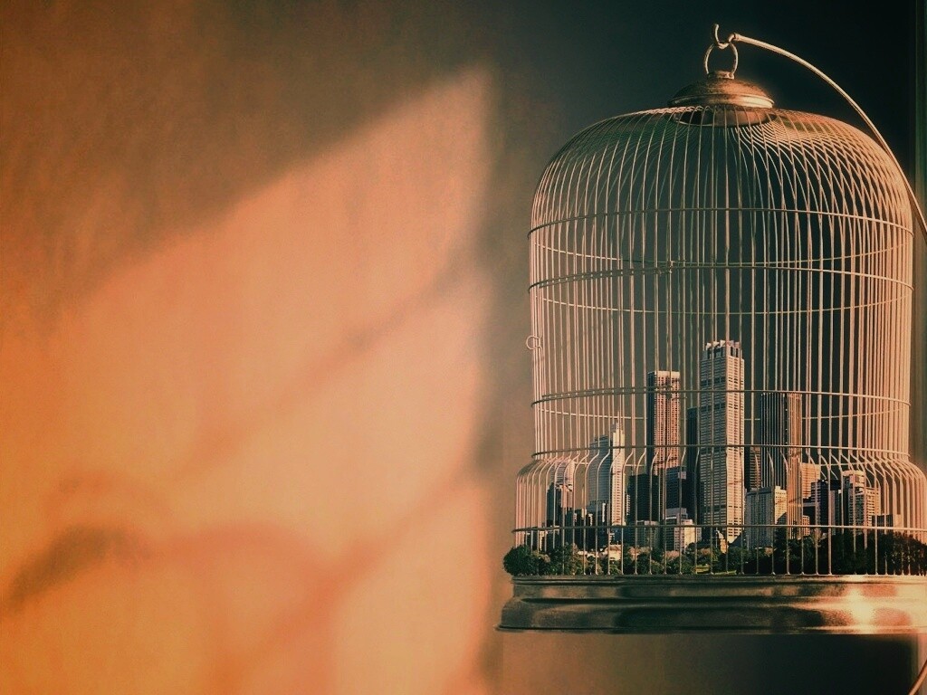 Город в клетке обои