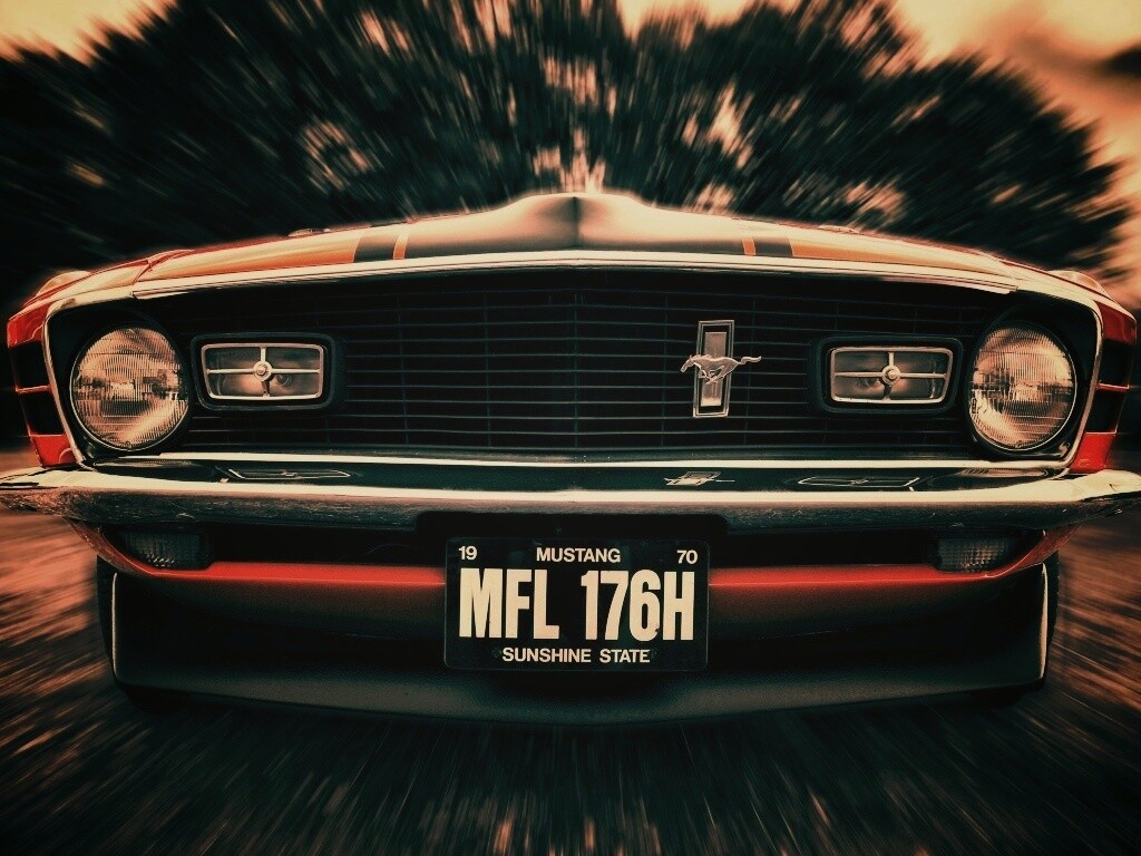 Мустанг обои