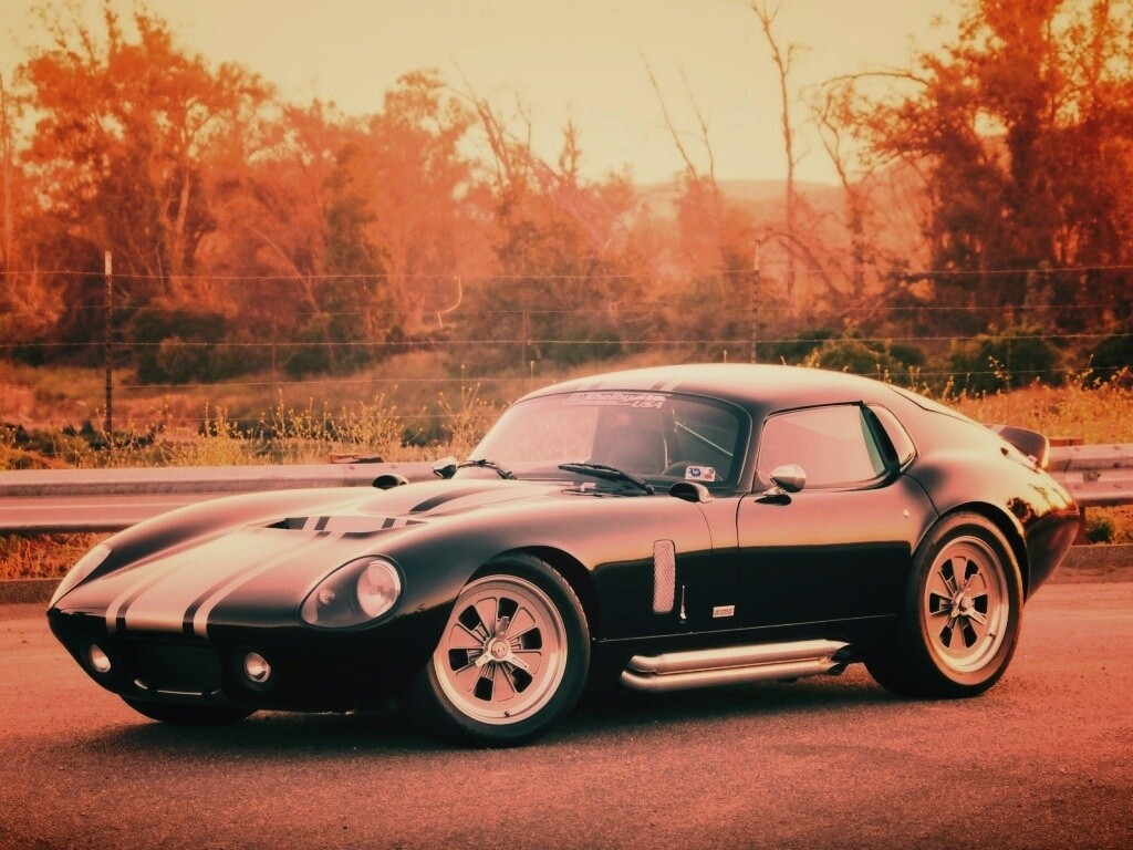 Shelby Daytona обои