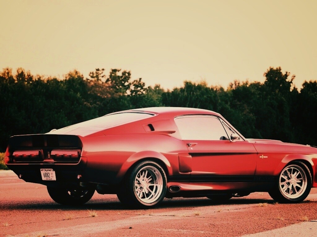 Shelby GT500 CR обои