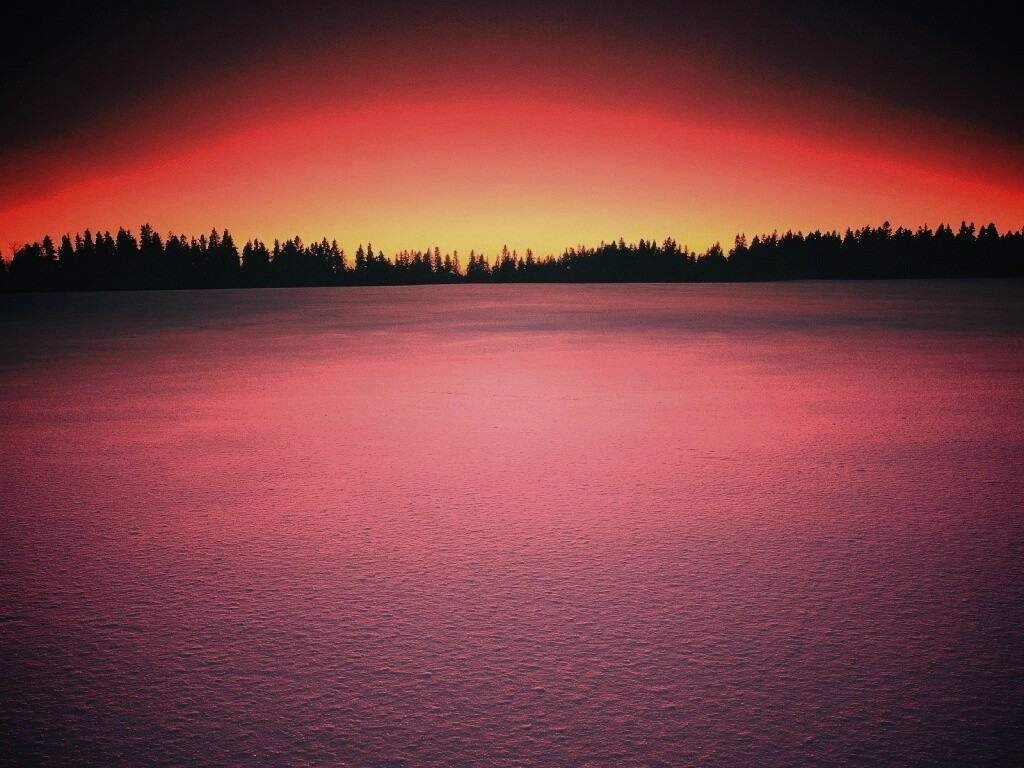 Восход над заснеженным лесом обои