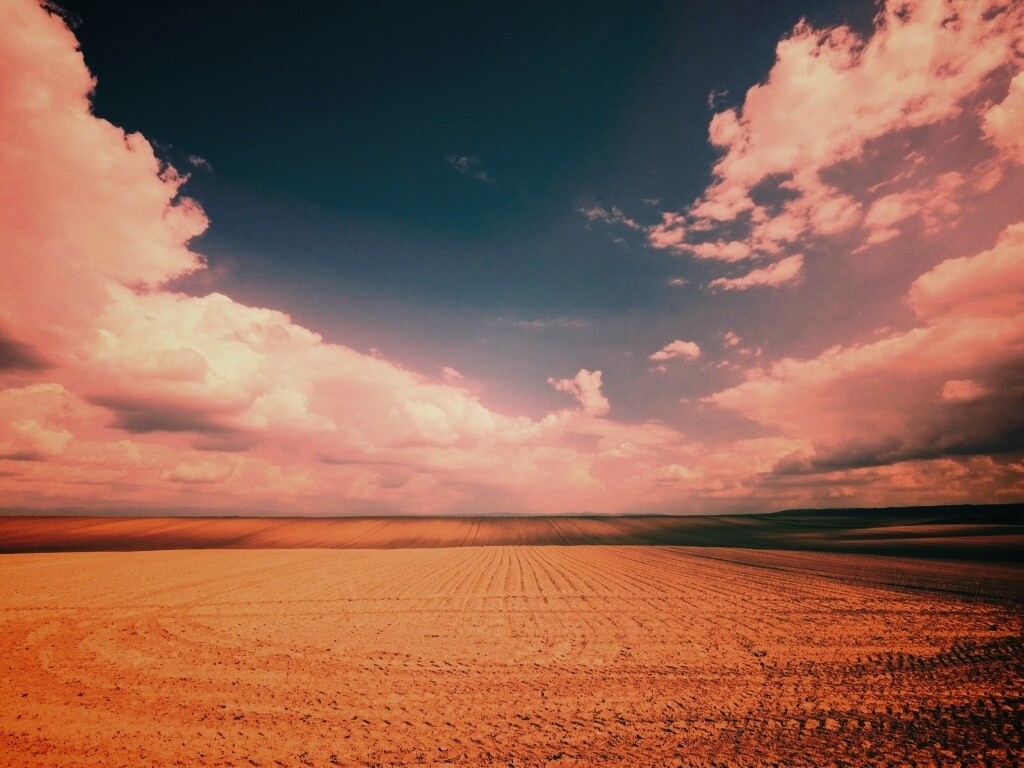 Незасеянное поле обои