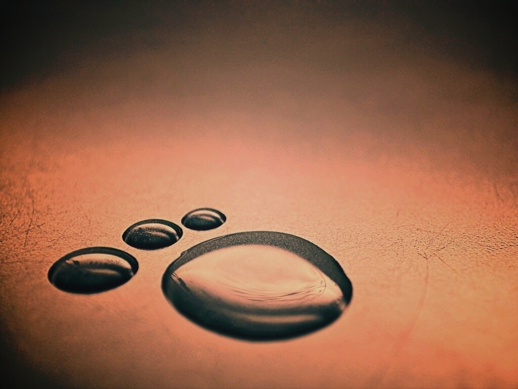 Капли воды обои