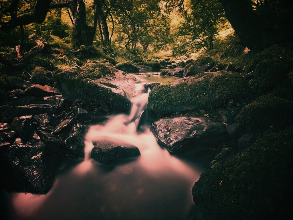 Речной поток в лесу обои