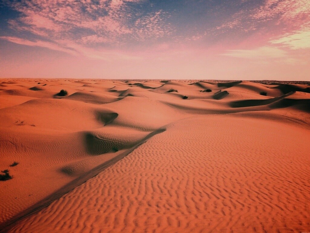 Пустыня до самого горизонта обои