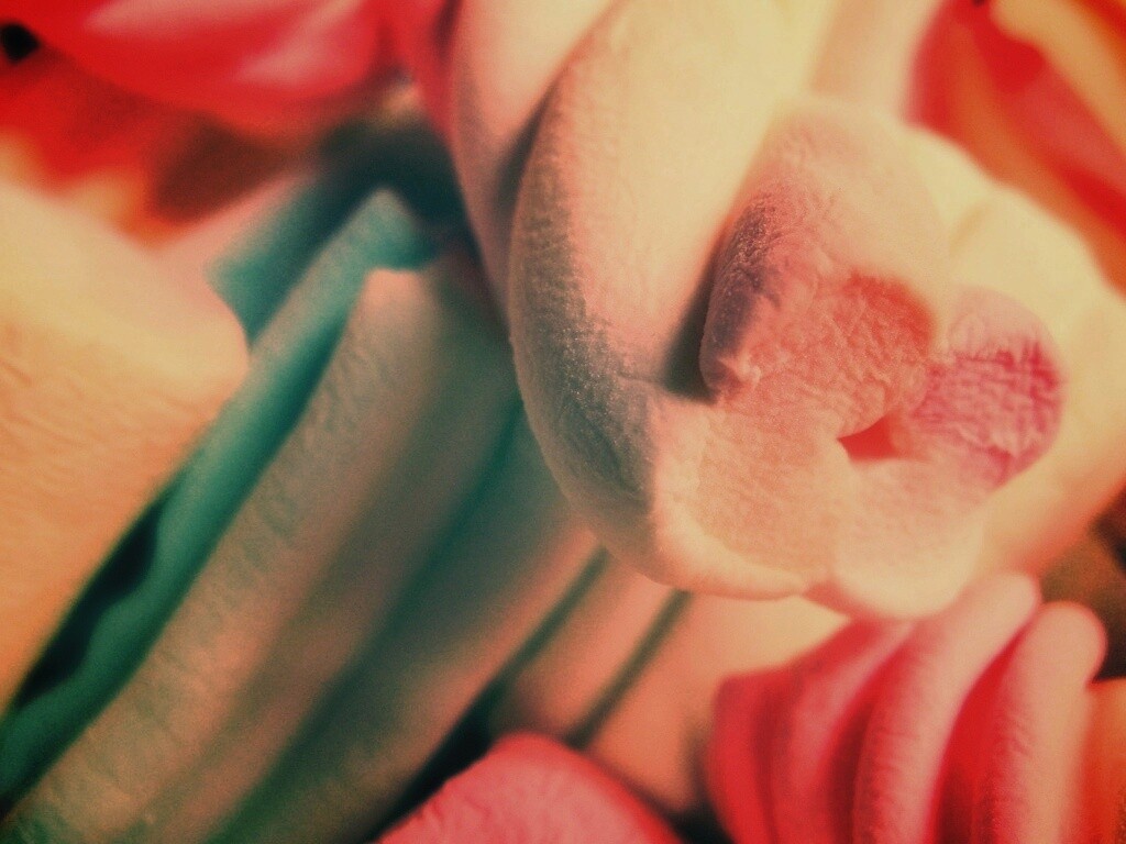 Кручёный зефир обои