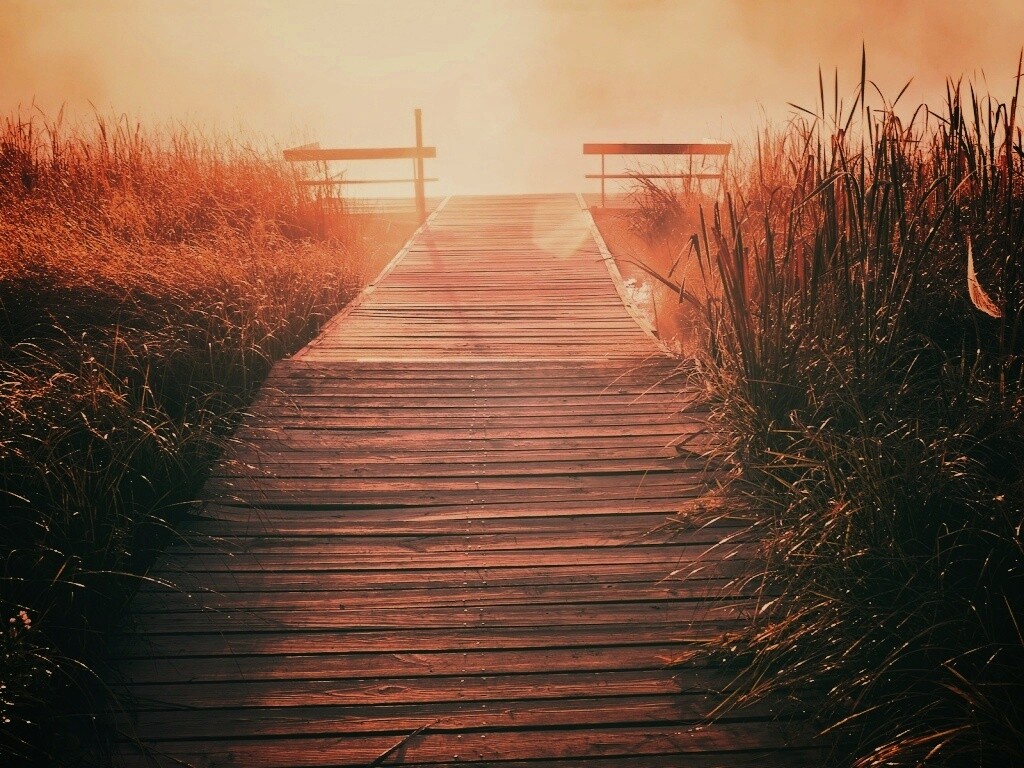 Выход к реке обои