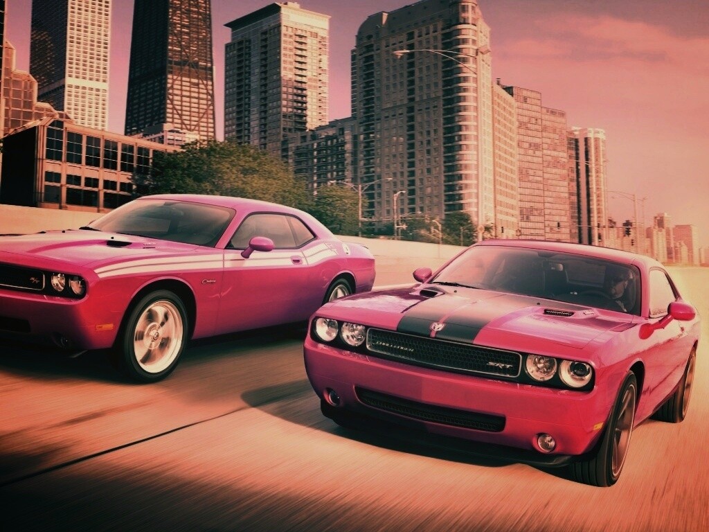 Два розовых мускулкара обои