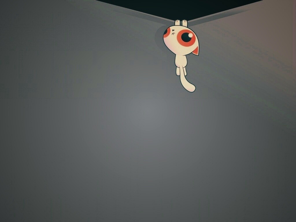 Кот, зацепившийся за край обои