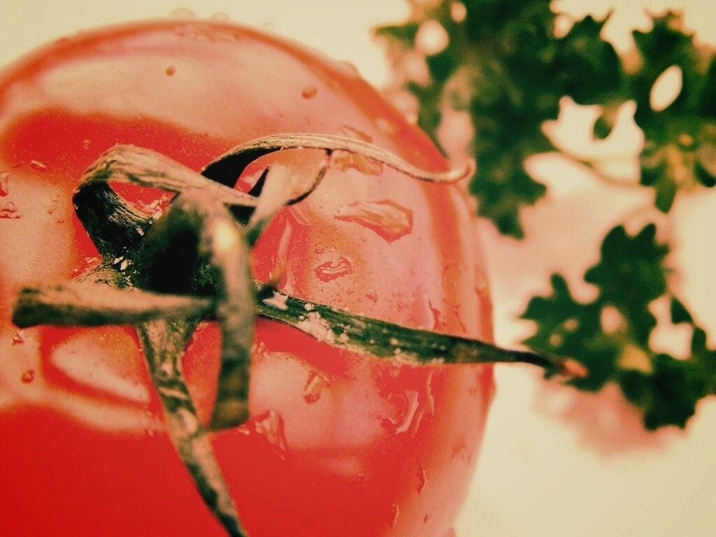 Свежая помидорка обои