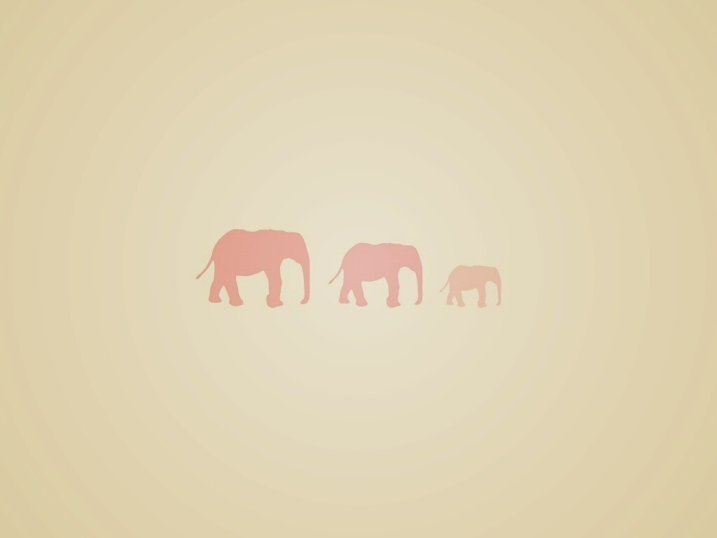 Вереница слонов обои