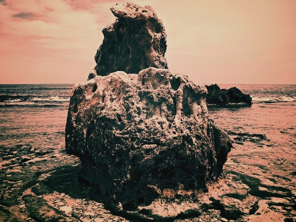 Коралловый риф обои