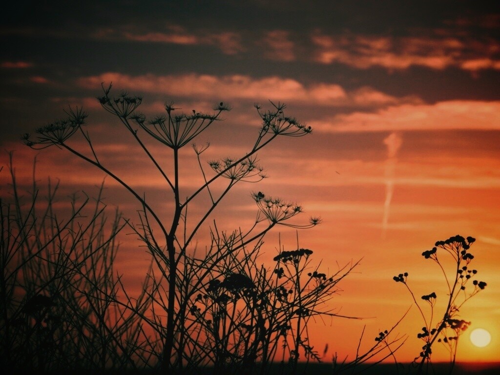 Степной закат обои