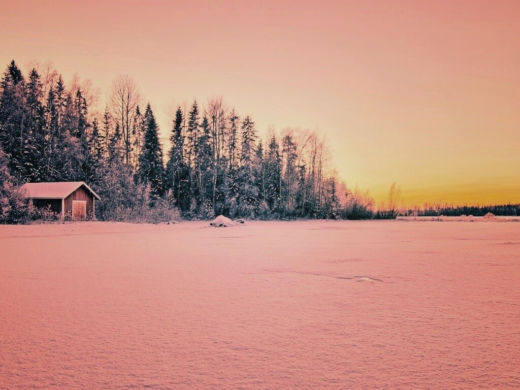 Зимний закат обои