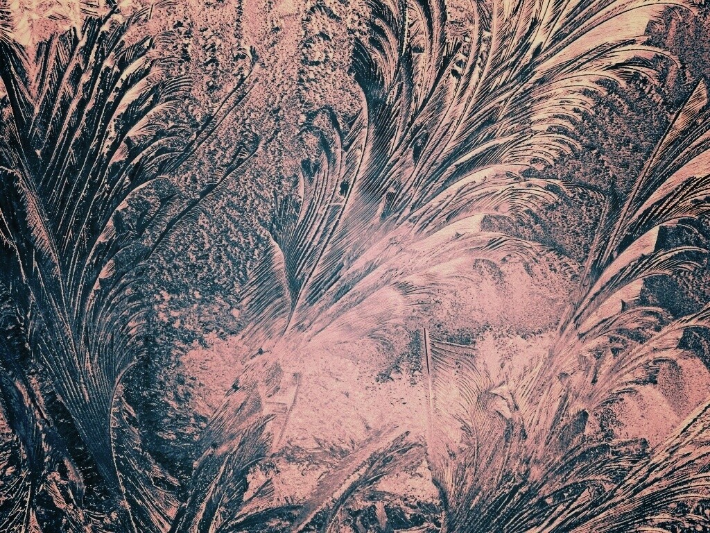 Зимние узоры обои