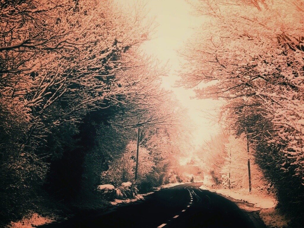 Дорога через зимний лес обои