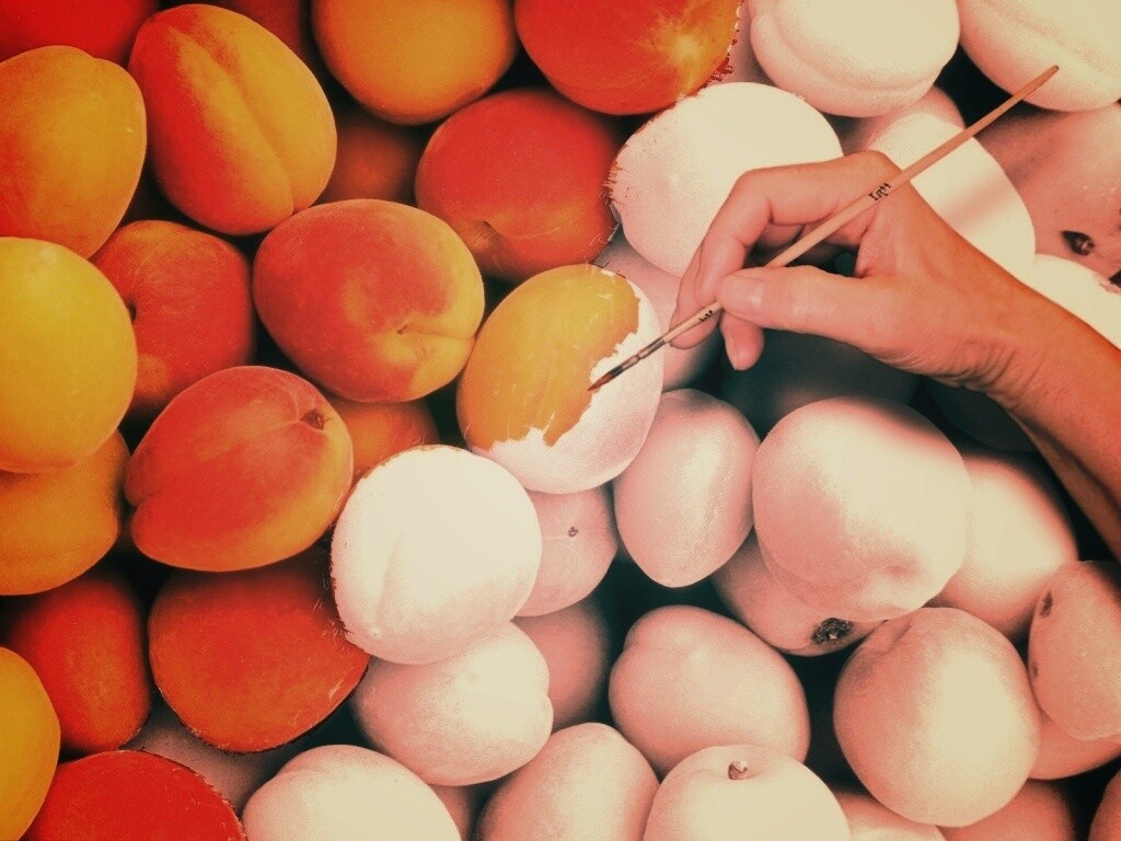 Крася абрикосы обои