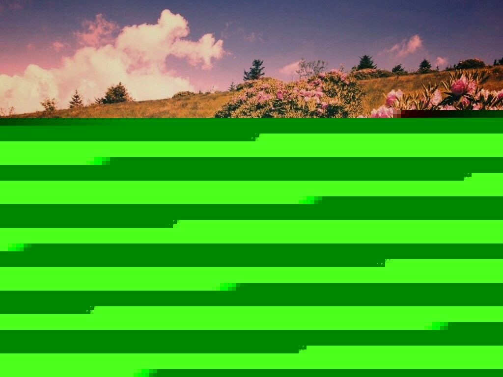 В поле обои