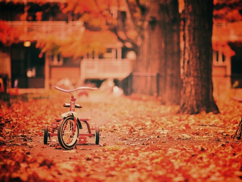 Трёхколёсный друг на осенней дорожке обои