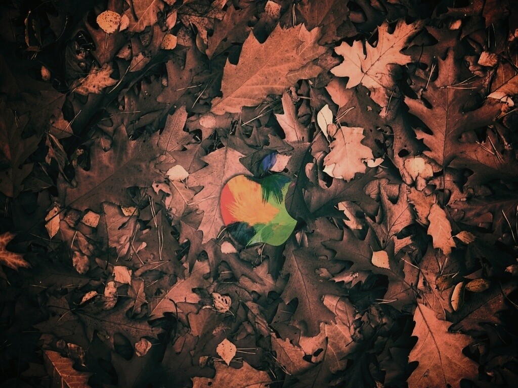 Яблоко в листьях обои