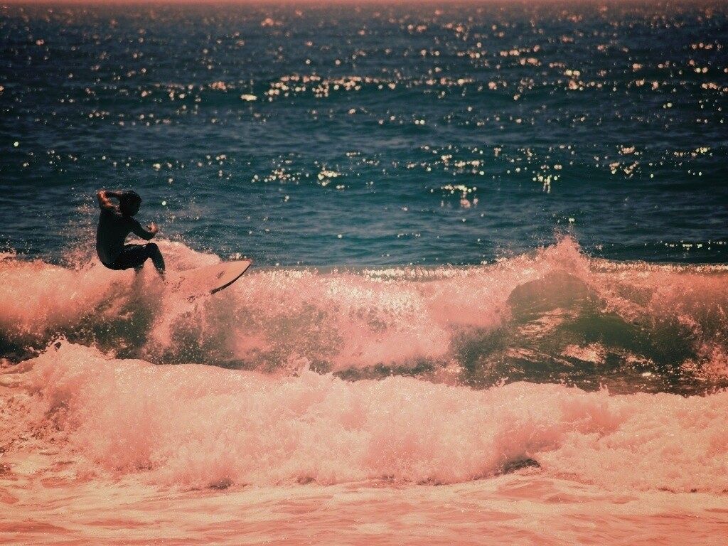 Сёрфенгист поймал волну обои