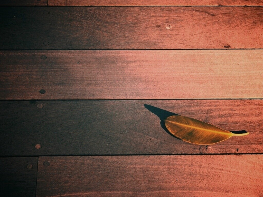 Лист на деревянном полу обои