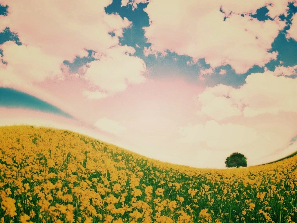 Искаженный мир обои