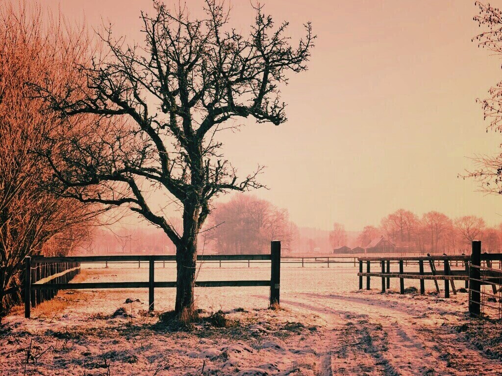Зимний пейзаж обои