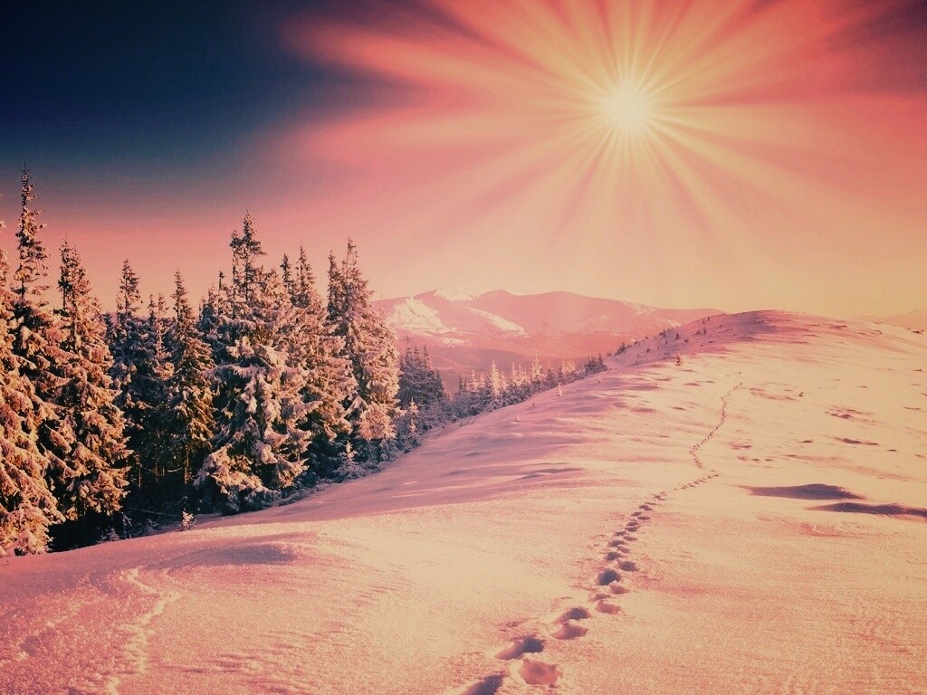 Холодные лучи зимнего солнца обои