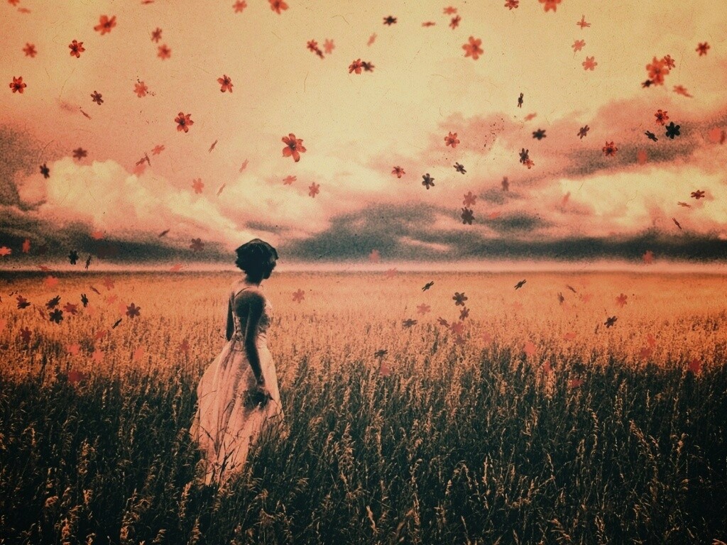 Грустная девушка в поле травы обои