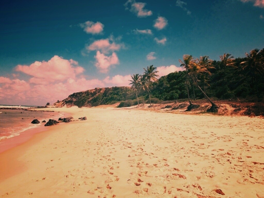 Туры в Бразилию в Лондрину обои