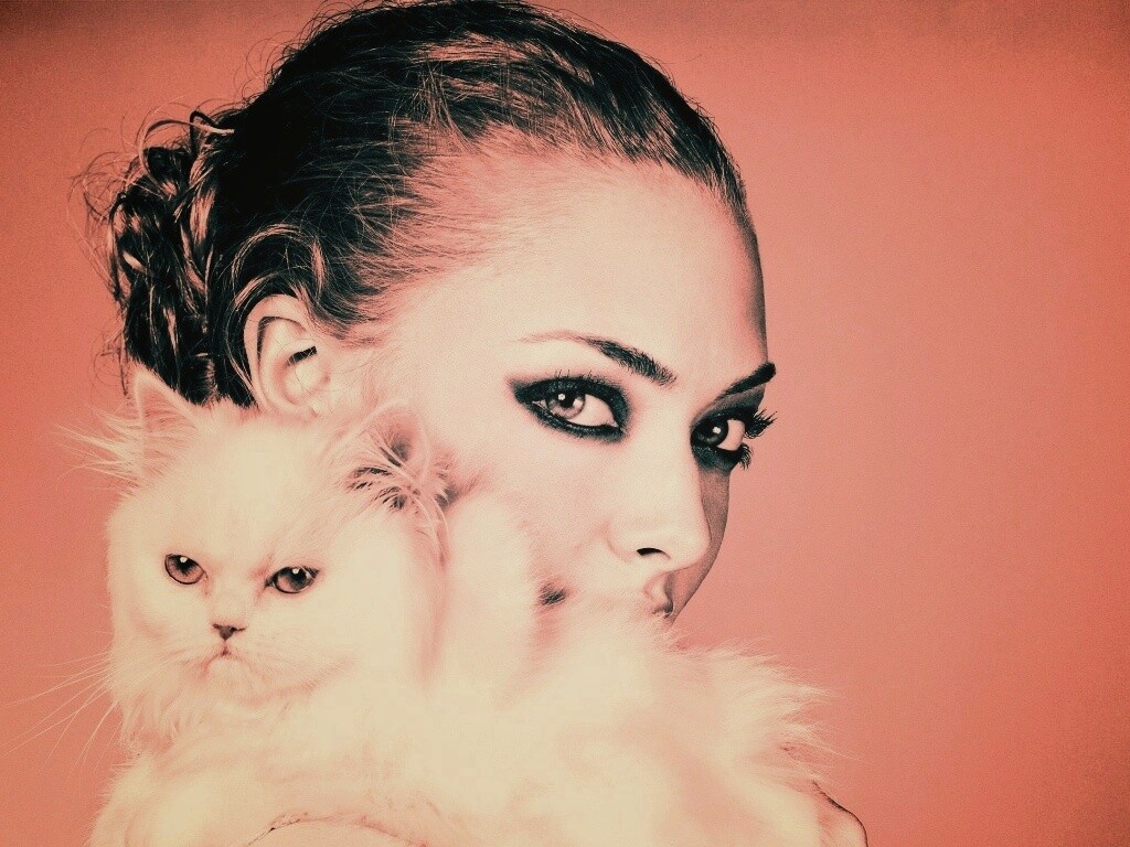 Девушка с кошкой обои