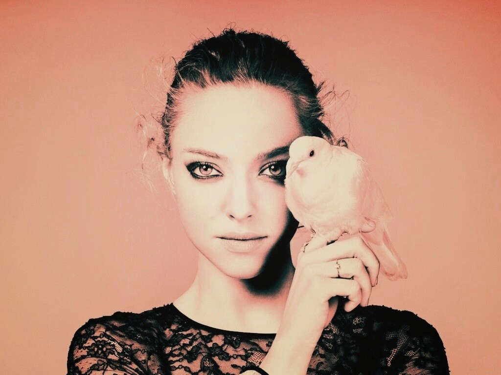 Девушка и попугай обои