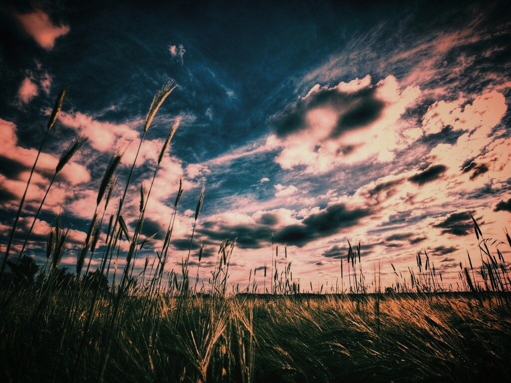 HDR Поле обои