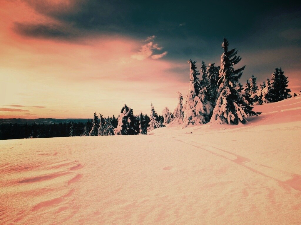 Зимние просторы обои