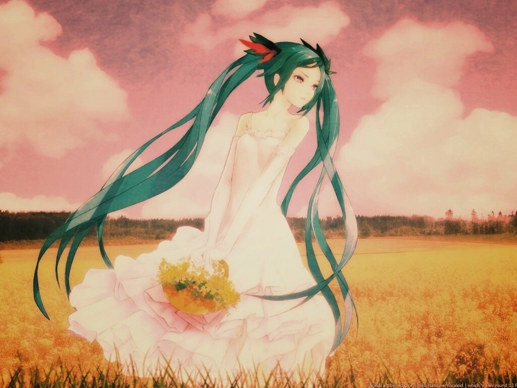 Хатсуне в поле обои