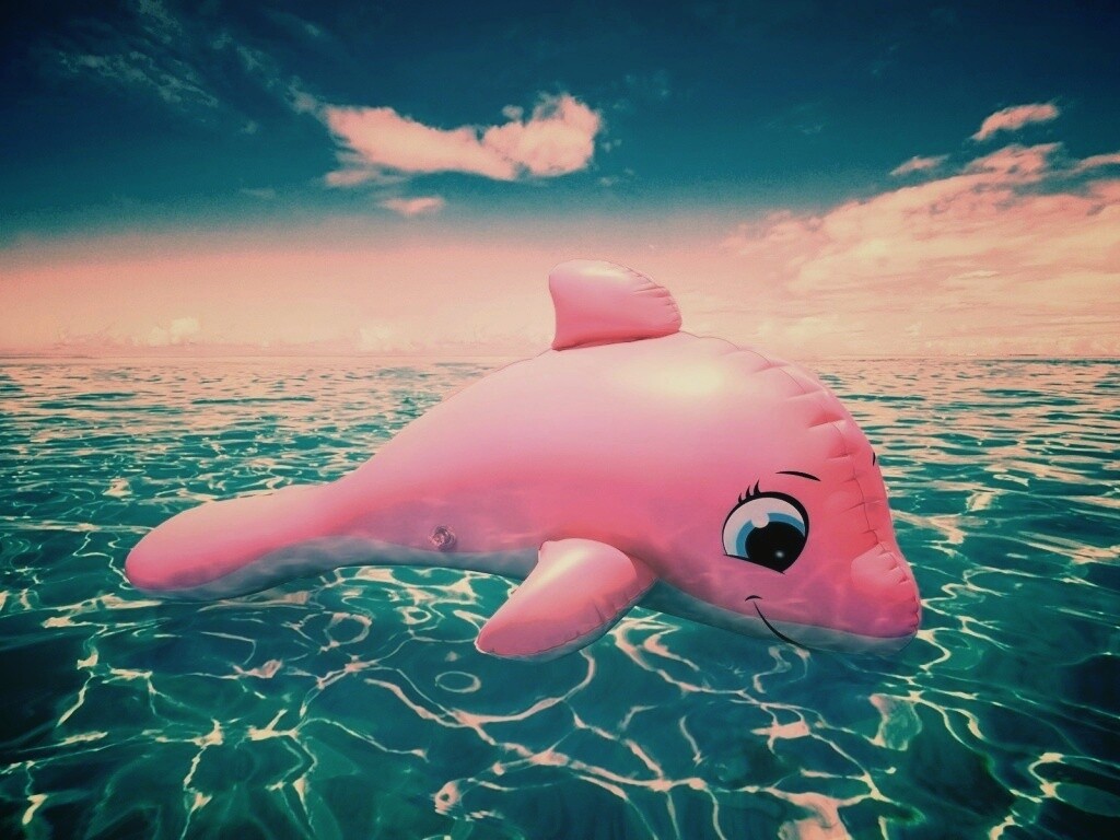 Надувной розовый дельфин обои