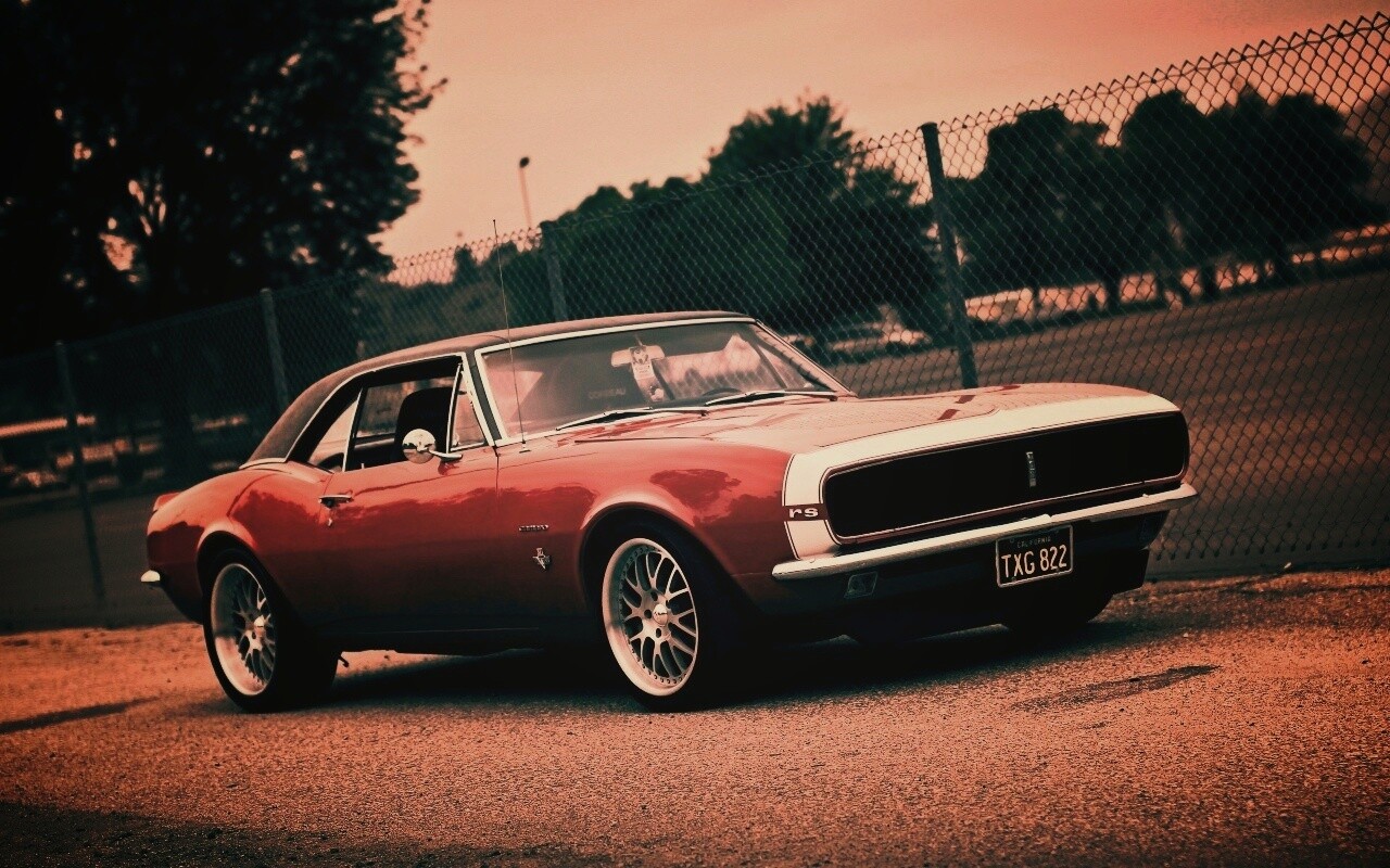 Красный монстор обои