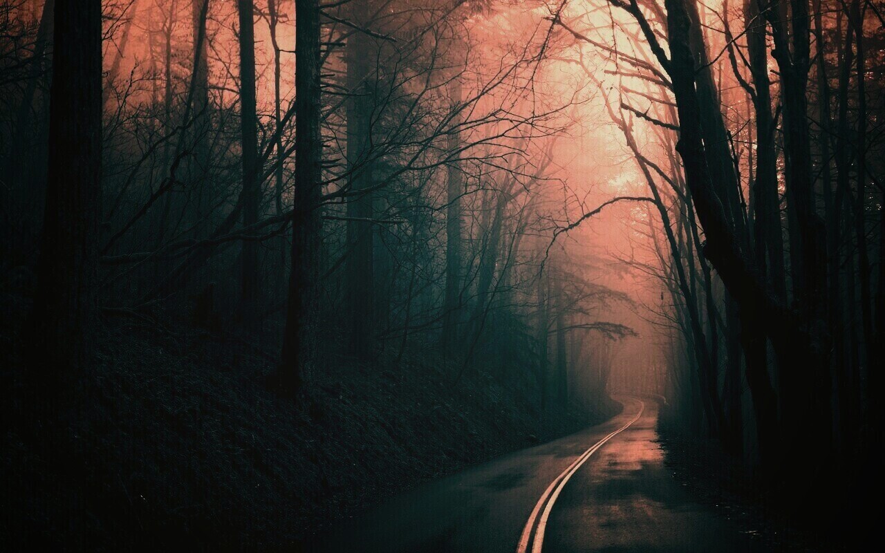 В туман обои