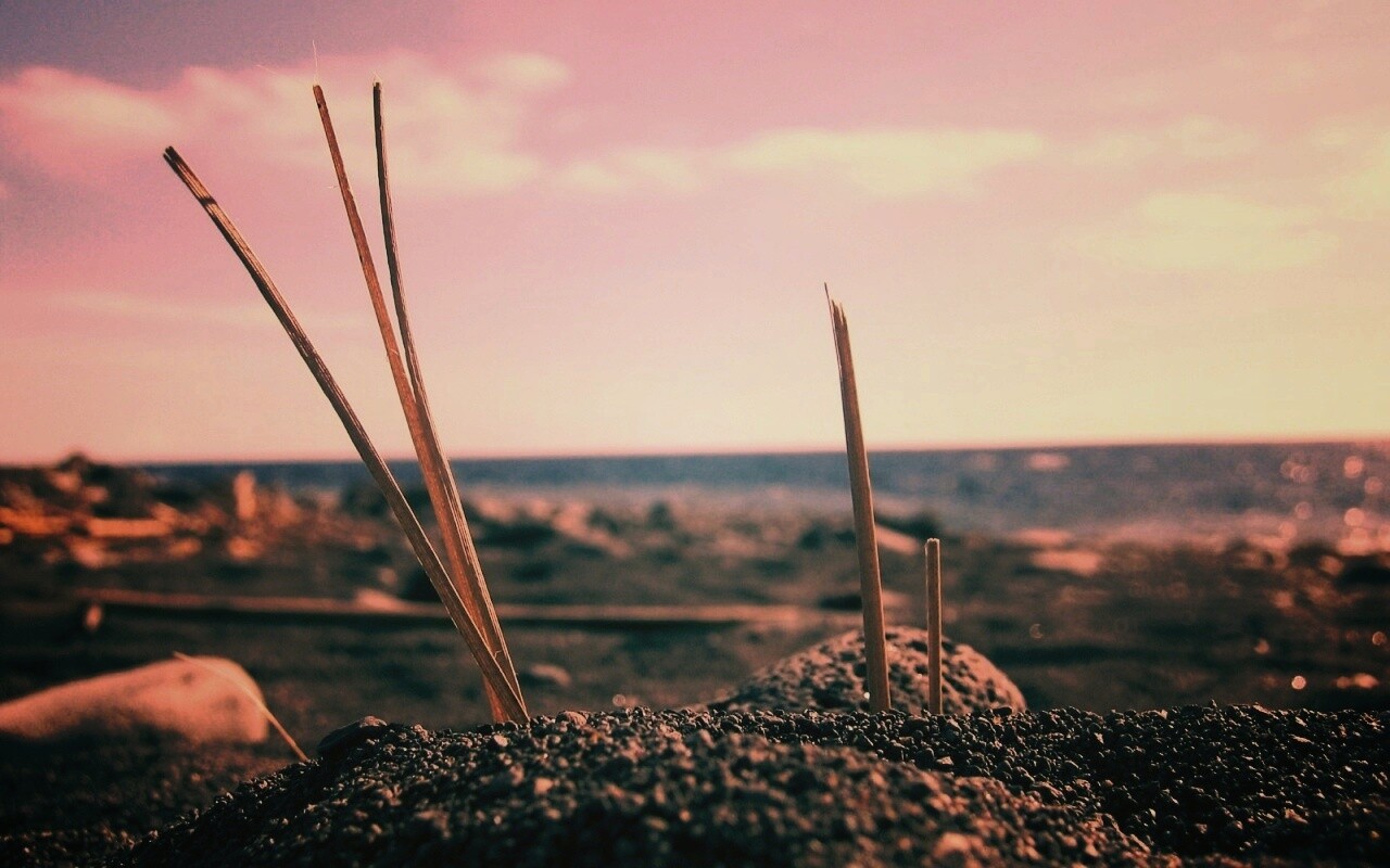 Солома на океанском берегу обои