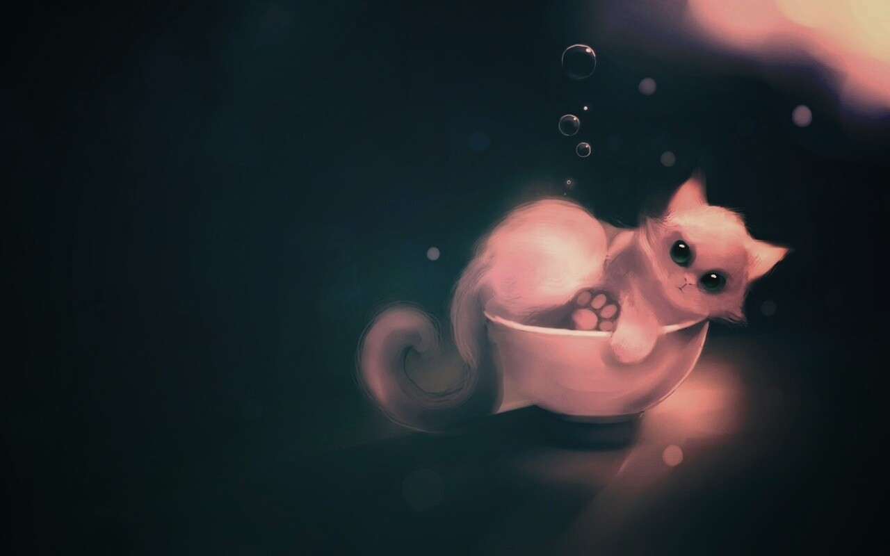 Котёнок в миске обои