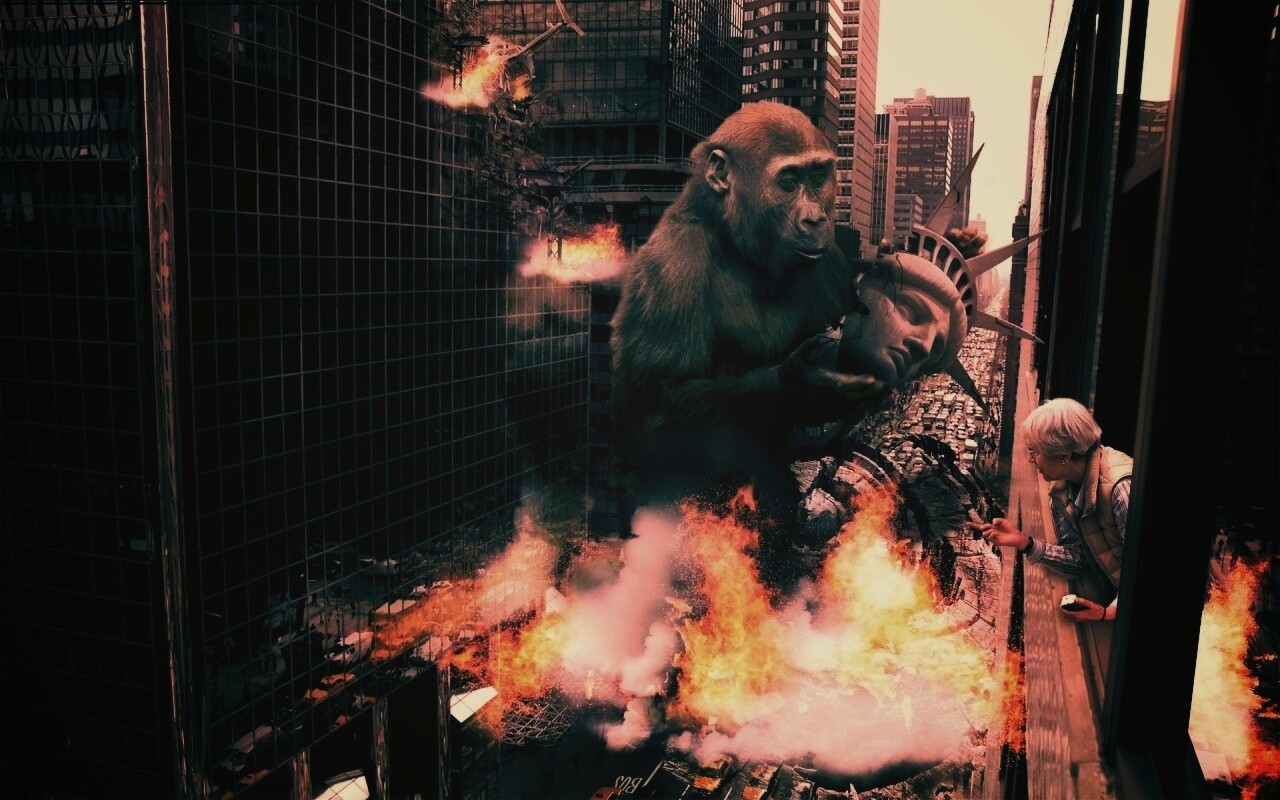 Обезьяна терроизирует Нью-Йорк обои