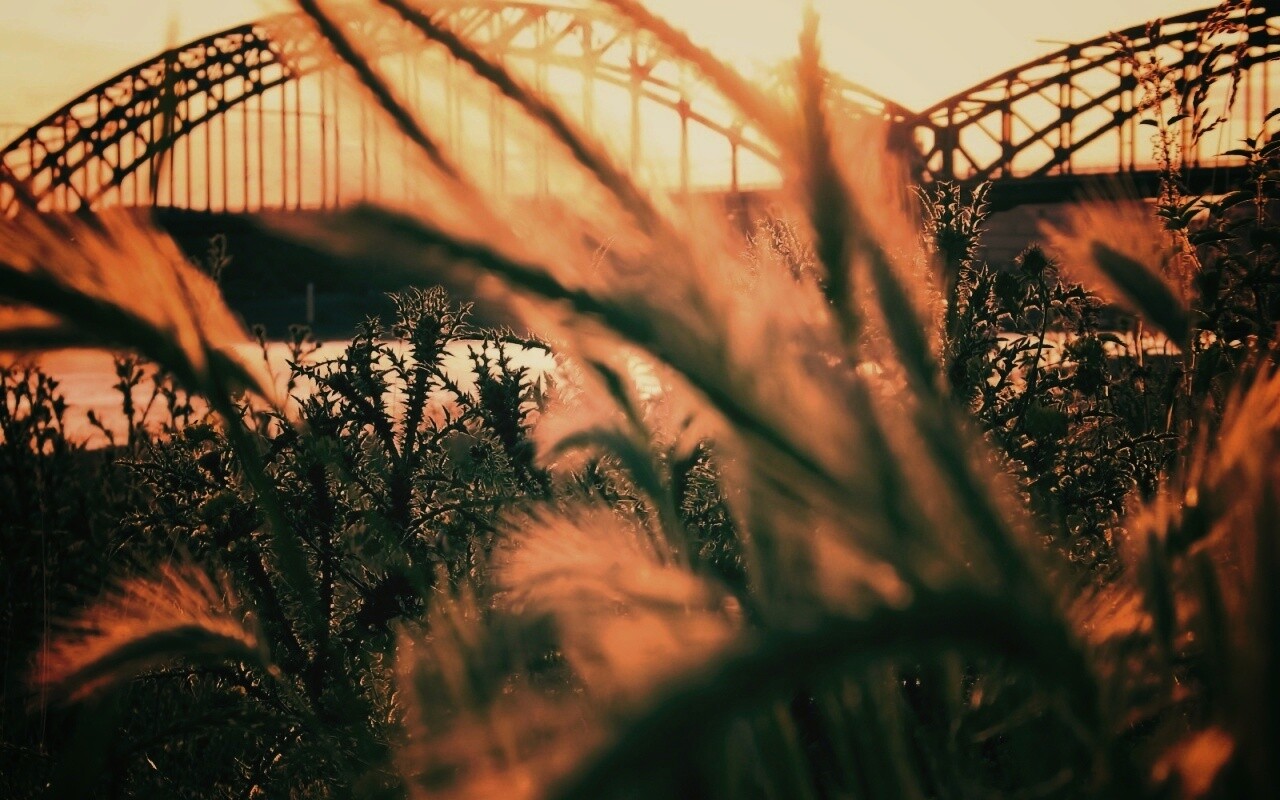 Железнодорожный мост обои