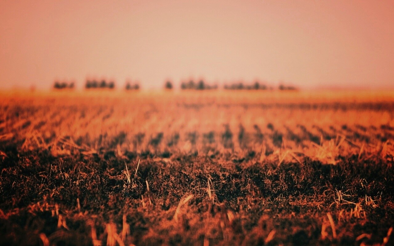 Поле перед вспашкой обои