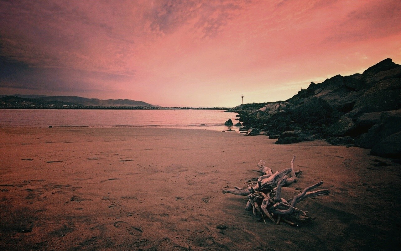 Коряга не берегу обои