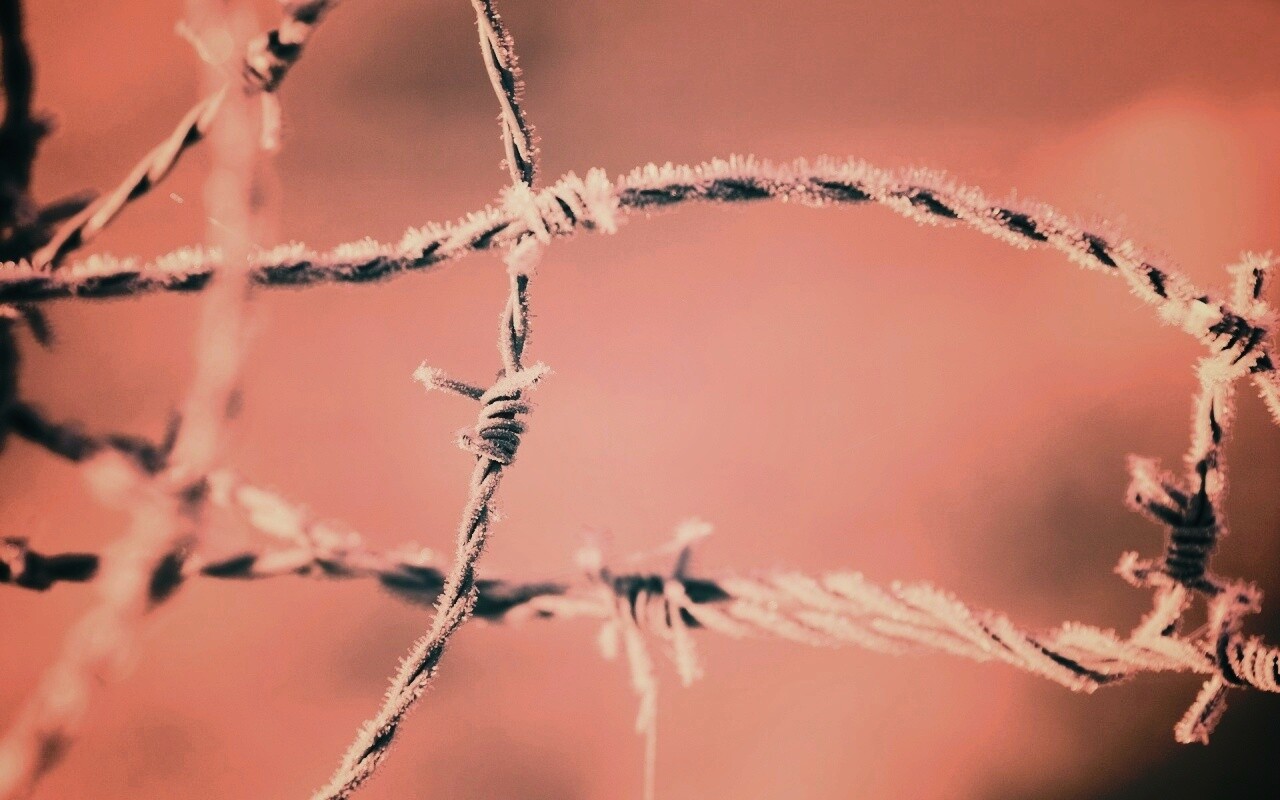 Замерзшая колючая проволока обои